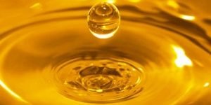 news_dieselS50-300x173